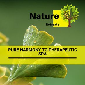 Download track Nature Is My Comrade Spa Music Relaxation