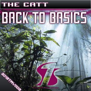 Download track Back To Basics (Original Mix) The Catt