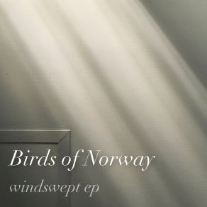 Download track The Stars, They Talk To Me Birds Of Norway