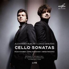 Download track Cello Sonata In A Minor, D. 821: II. Adagio Lukas Geniusas, Alexander Buzlov, Lukas Geniušas