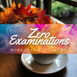 Download track Serene Bookshelf Jazz Zero Examinations