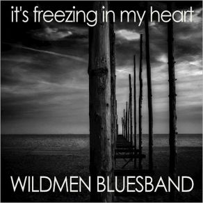 Download track Stop Watching Your Enemies Wildmen Bluesband