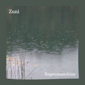 Download track Regenmaschine Zuni