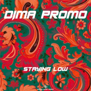 Download track Staying Low Dima Promo