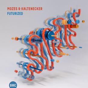 Download track One More Sense Mozes, Kaltenecker