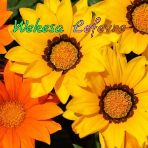 Download track Mister Enhance Wekesa Lefevre