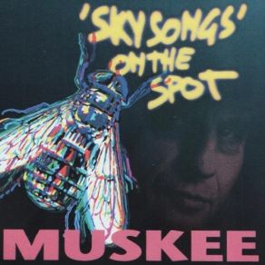 Download track Sky Song On The Spot Harry Muskee