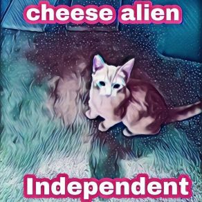 Download track Chill Vibes Cheese Alien