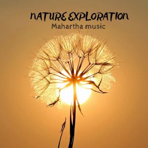 Download track Looking For Happiness MAHARTHA MUSIC