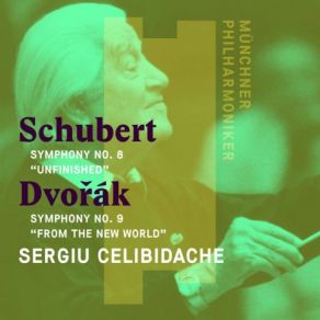 Download track Symphony No. 8 In B Minor, D. 759, 'Unfinished': II. Andante Con Moto Sergiu Celibidache, Munich Philharmonic