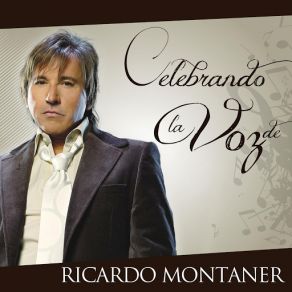 Download track Amor De Roca Ricardo Montaner