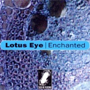 Download track Enchanted (Komatex Radio Mix) Lotus Eye