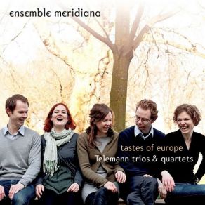 Download track Trio In E Minor, TWV42: E11 - III. Grave Ensemble Meridiana