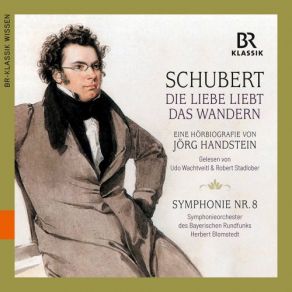 Download track Kapitel 8: Nun Weiter Denn, Nur Weiter! Bavarian Radio Symphony Orchestra, Herbert Blomstedt, Udo Wachtveitl, Robert Stadlober