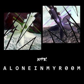 Download track Don't Worry, I Really Like Being Lonely Jope