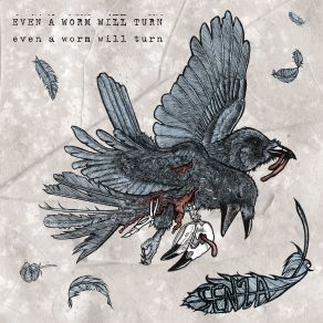 Download track American Robin Senza