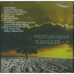 Download track Dağlar Dağladı Beni Elvan Erbaşı