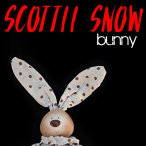 Download track Dirty Vinyl Pusher (Original Mix) Scottii Snow