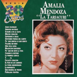 Download track La Primera Caricia Amalia Mendoza