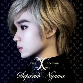 Download track Separuh Nyawa (Instrumental) Xing Hermina