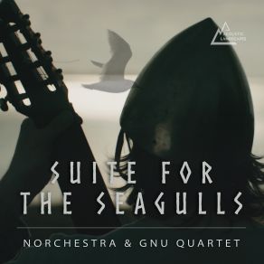 Download track VII - Seagull Victory And Celebration Gnu Quartet, Norchestra