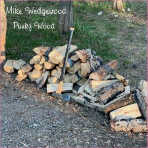 Download track Hope For The World Mike WedgewoodTaylor Wedgewood