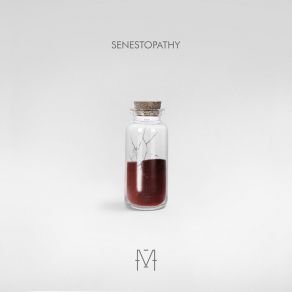 Download track Senestopathy (MIRUKY Remix) M () REMIRUKY