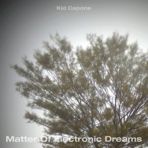 Download track Miles And Years Kid Capone