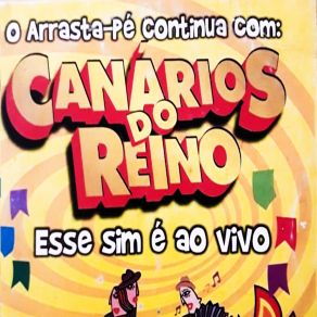 Download track Pegar Fogo (Ao Vivo) Canários Do Reino