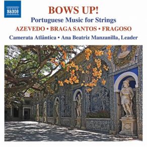 Download track Concerto For Strings In D Minor, Op. 17 II. Adagio Non Troppo Camerata Atlântica, Ana Beatriz Manzanilla