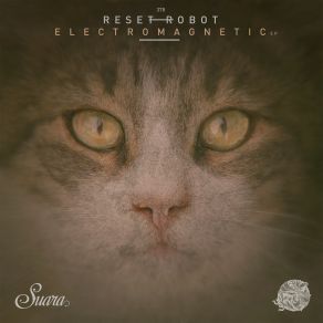 Download track Electromagnetic (Original Mix) Reset Robot