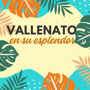 Download track Vallenato Resplandeciente Los Vallenateros