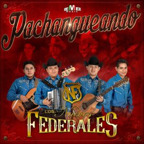 Download track Soy Albañil Los Nuevos Federales