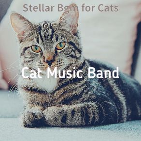 Download track Groovy Ambiance For Cats Cat Music Band