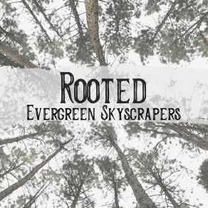 Download track Evergreen Skyscrapers Rooted