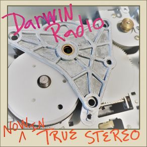 Download track Screen Door Darwin Radio