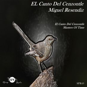 Download track Masters Of Time Miguel Resendiz