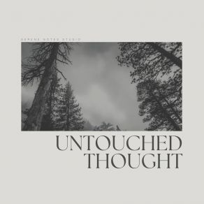 Download track Untouched Treasury Of Thought Lo Mejor De La Musica Instrumental