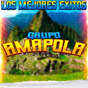 Download track Cuando Vuelvas Grupo Amapola