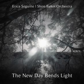 Download track …and The Tire Swing Keeps Spinning… Erica Seguine, Shon Baker Orchestra