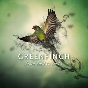 Download track Memories GreenfinchDiboujoñe