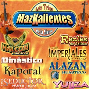 Download track Corazon De Oropel Los Trios Mazcakientes De La Sierra