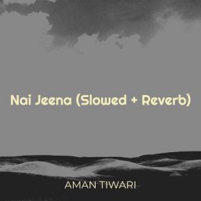 Download track Tu Mila (Slowed + Reverb) Aman TiwariReverb