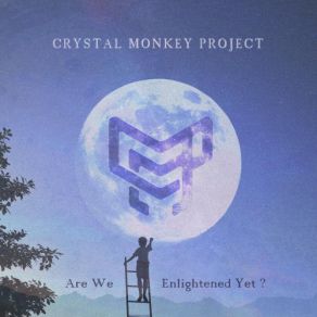 Download track Don't Leave Me Too Soon Crystal Monkey Project