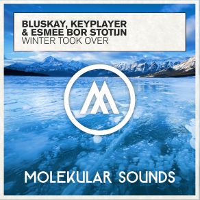 Download track Winter Took Over (Original Mix) BluSkay, Esmee Bor Stotijn, Keyplayer