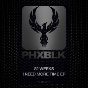 Download track I Need More Time 22 Weeks