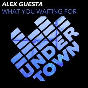 Download track What You Waiting For (Acapella) Alex Guesta