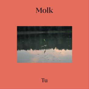 Download track Tyle Molk