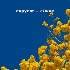 Download track Scalped Ticket Elaine