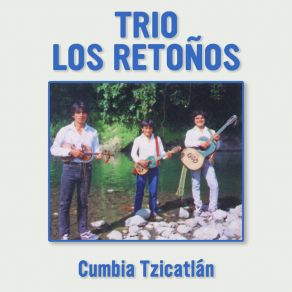 Download track Recuerdo Aquella Noche (Remasterizado 2023) Trio Los Retoños